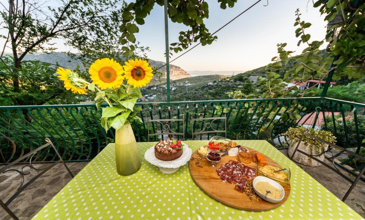 Villa Blanka Žrnovnica 외부 사진